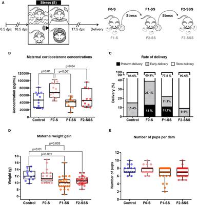 Prenatal Maternal Stress Causes Preterm Birth and Affects Neonatal Adaptive Immunity in Mice